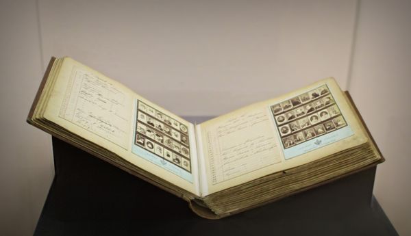 Original sample book